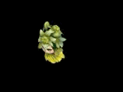 30de273fb80e7becefeb9b09262eb9389a506b00.gif